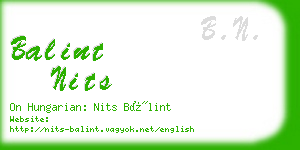 balint nits business card